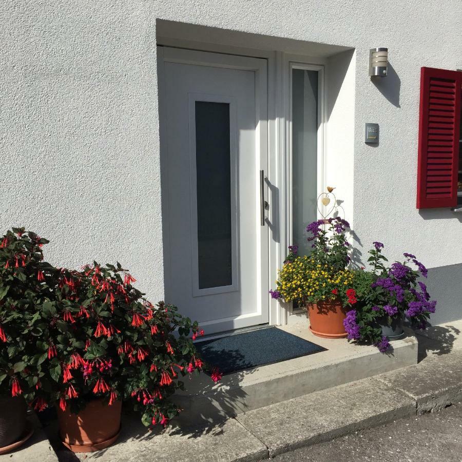 Ferienwohnungen Haus Bergflora Bach  Exterior foto